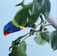 Load image into Gallery viewer, Rainbow Lorikeet, My Happy Place
