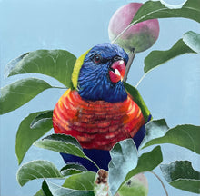 Load image into Gallery viewer, Rainbow Lorikeet, Apple Feast
